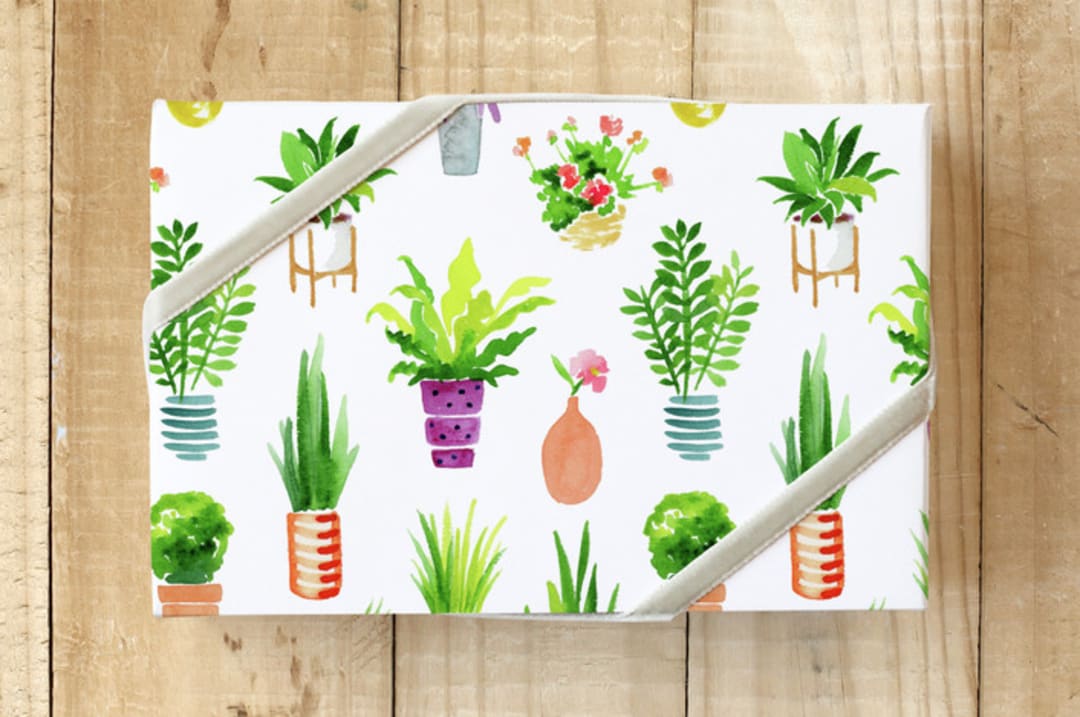 "Potted Plants" - Wrapping Paper in Leafy Green by sue prue - Front