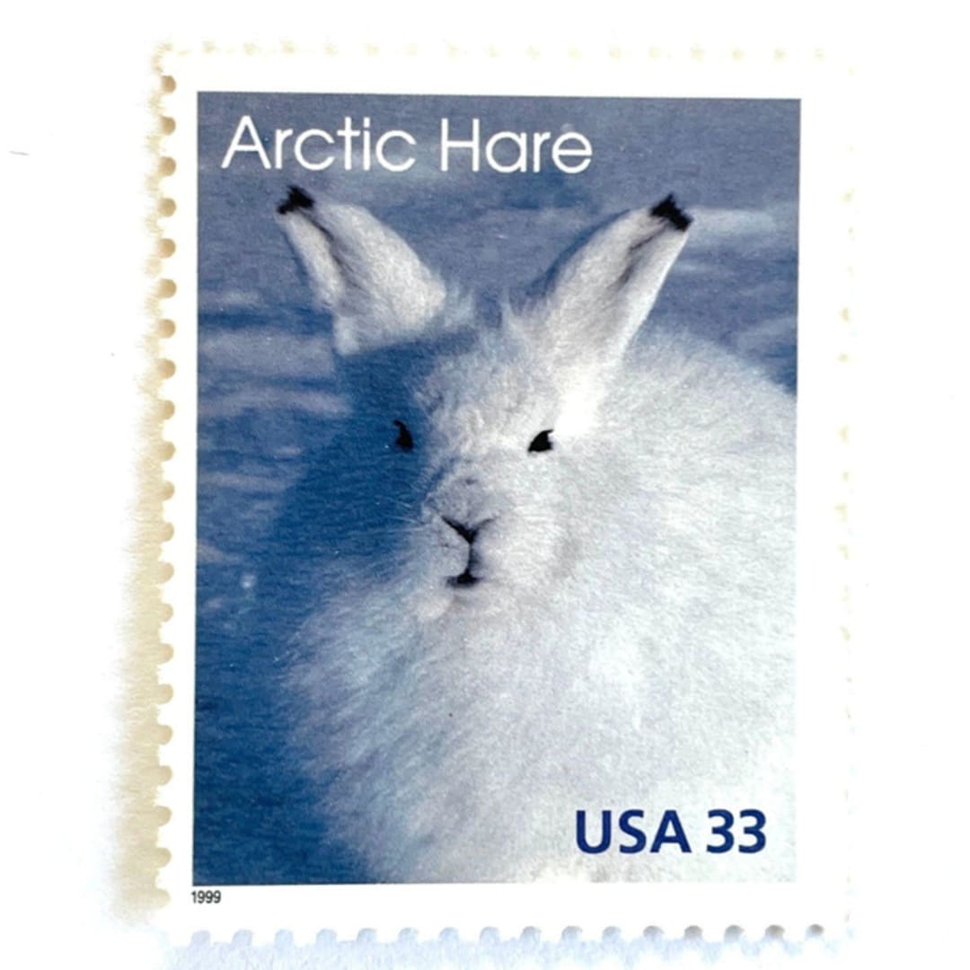 ""Arctic Hare" Postage Stamps | Arctic Animals Series | Unused USPS Postage 33c | Pack of 10" - Postage Stamps in white by Heritage Post House