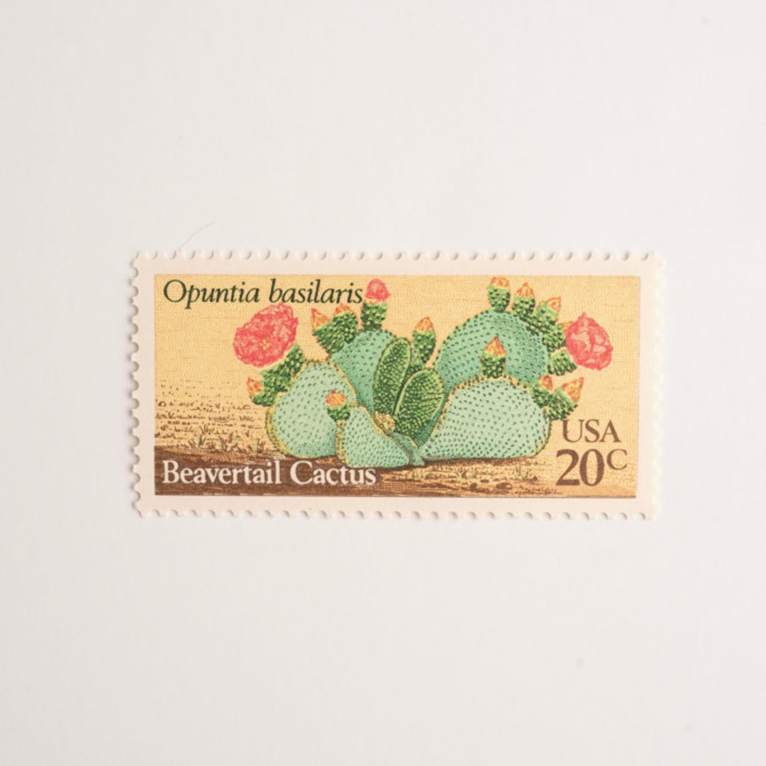 "20 Cent Beavertail Cactus Postage Stamps // Set of 10 // UNUSED Vintage Stamps" - Postage Stamps in green by Flourish Fine Writing