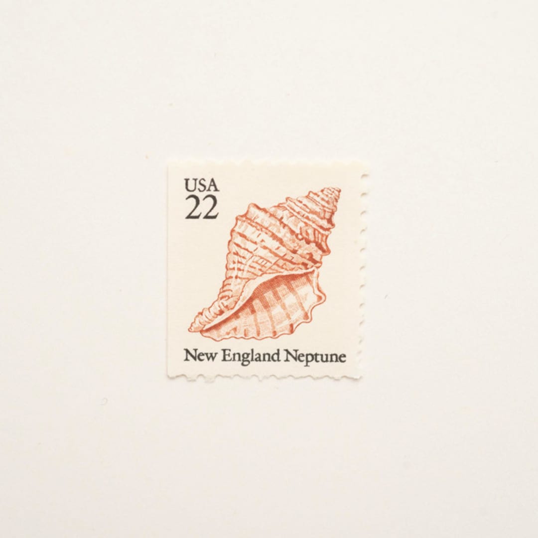"22 Cent New England Neptune Seashell Postage Stamps // Set of 10 // UNUSED" - Postage Stamps in beige by Flourish Fine Writing