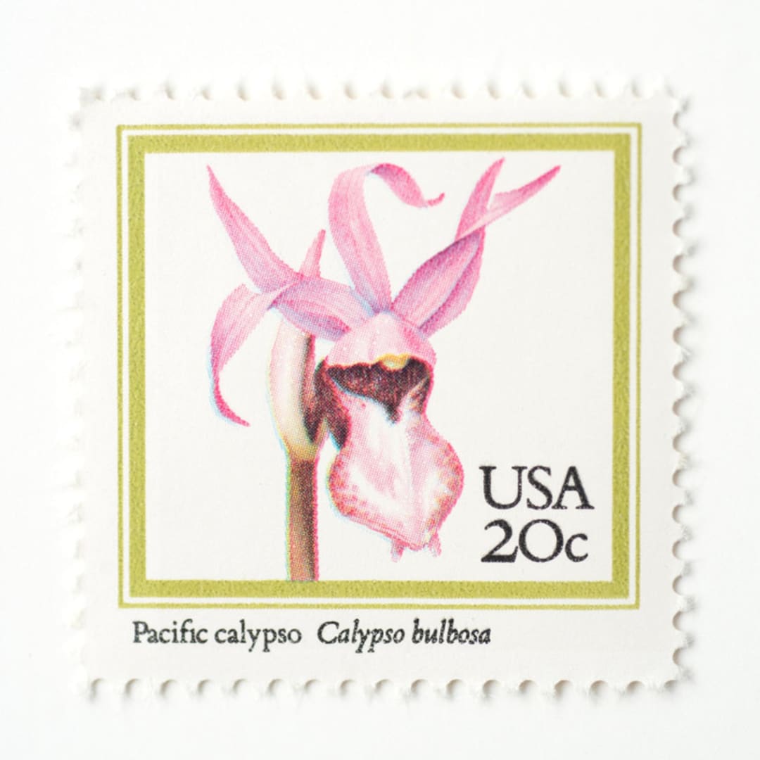"20 Cent Pacific Calypso Orchid Stamps // Set of 10 // UNUSED Vintage stamps" - Postage Stamps in pink by Flourish Fine Writing