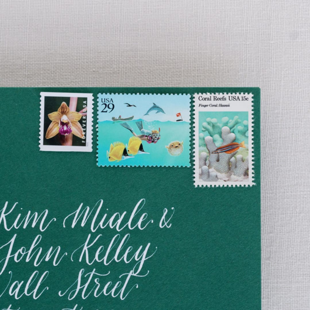 "Ocean Reef Postage Collection" - Postage Stamps in multicolorassorted-colors by Little Postage House
