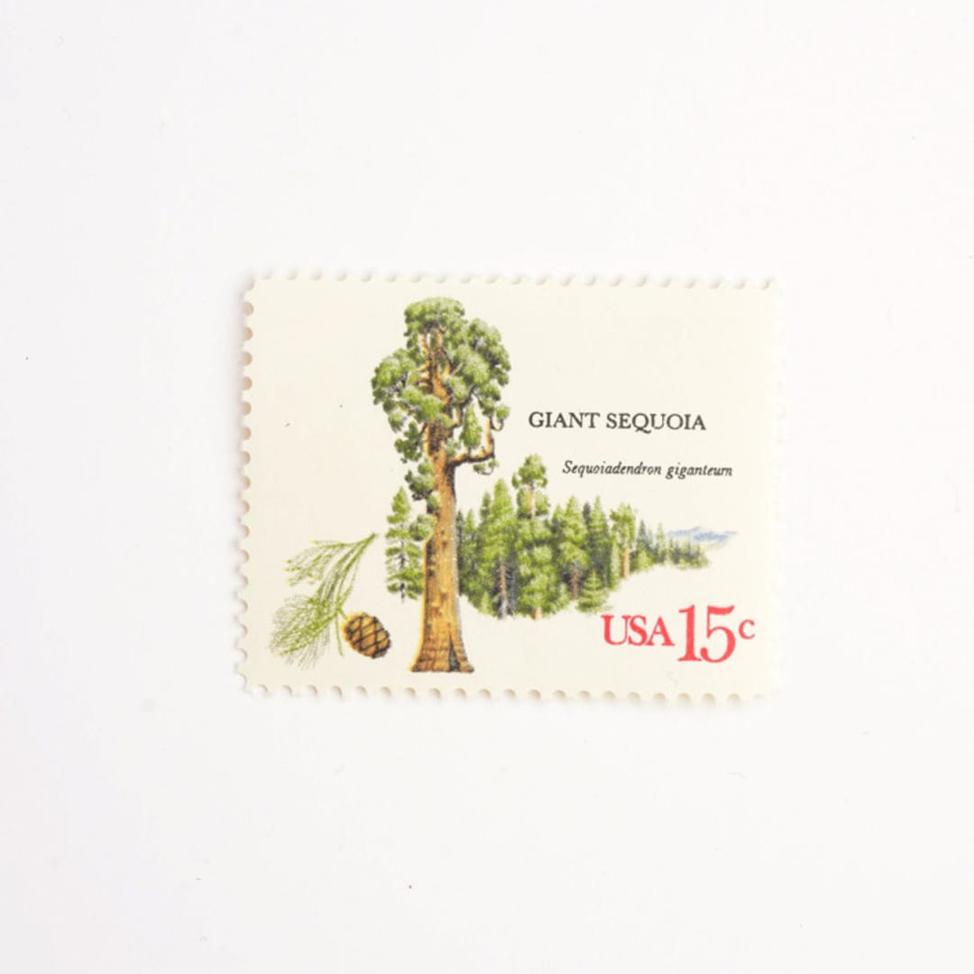 "15 Cent Sequoia Tree Postage Stamps // Set of 10 // UNUSED vintage postage" - Postage Stamps in green by Flourish Fine Writing