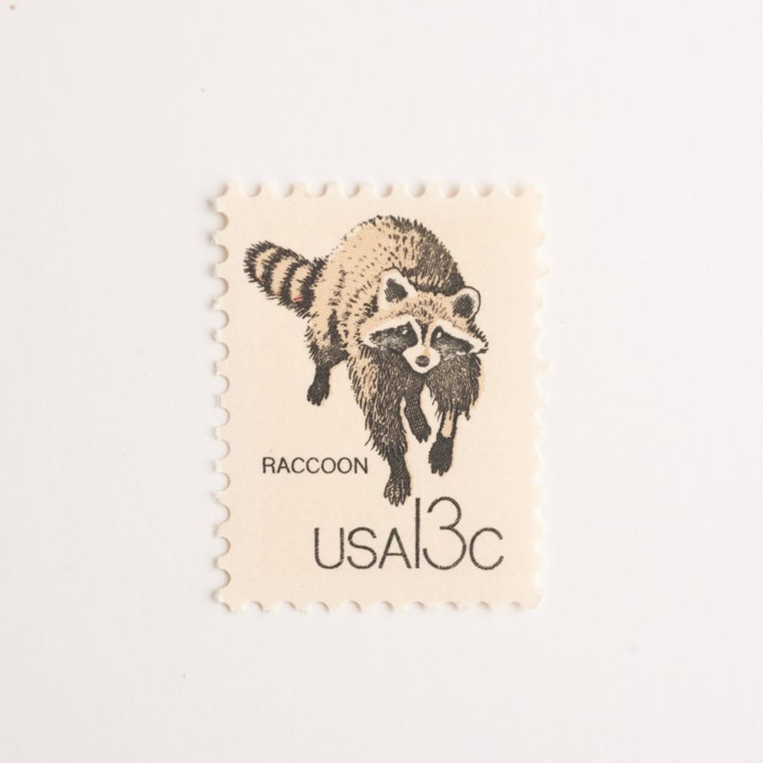 "13 Cent Raccoon Stamps // Set of 10 // UNUSED Vintage Stamps" - Postage Stamps in gray by Flourish Fine Writing