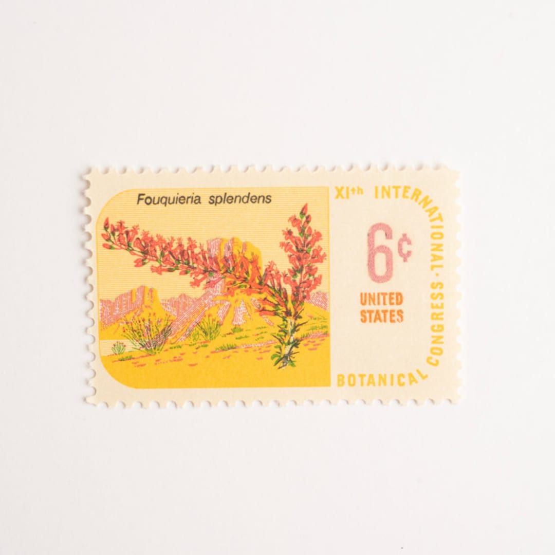"6 Cent Botanical Congress, Ocotillo Postage Stamps // Set of 10 // UNUSED Vintage Stamps" - Postage Stamps in yellow by Flourish Fine Writing