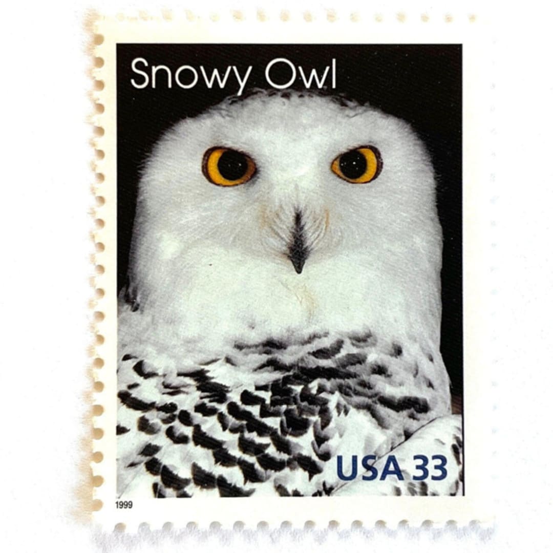 ""Snowy Owl" Postage Stamps | Arctic Animals Series | Unused USPS Postage 33c | Pack of 10" - Postage Stamps in white by Heritage Post House