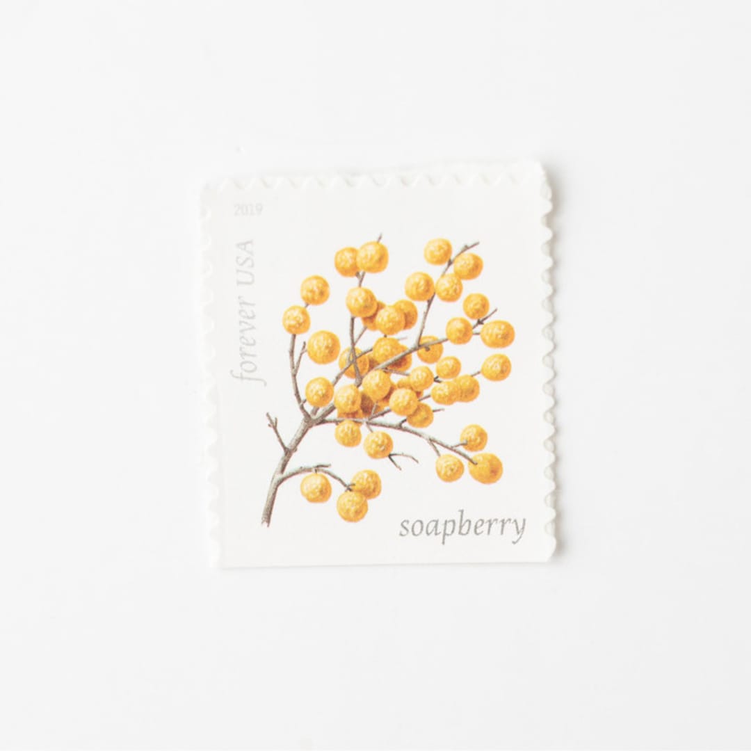 "Yellow Soapberry Forever Stamps // Set of 10 // UNUSED Vintage Stamps" - Postage Stamps in yellow by Flourish Fine Writing