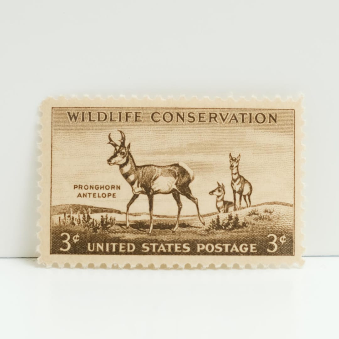 "Vintage Unused Stamps - Pronghorn Antelope, 3 cent - Set of 5" - Postage Stamps in brown by Tablo Post