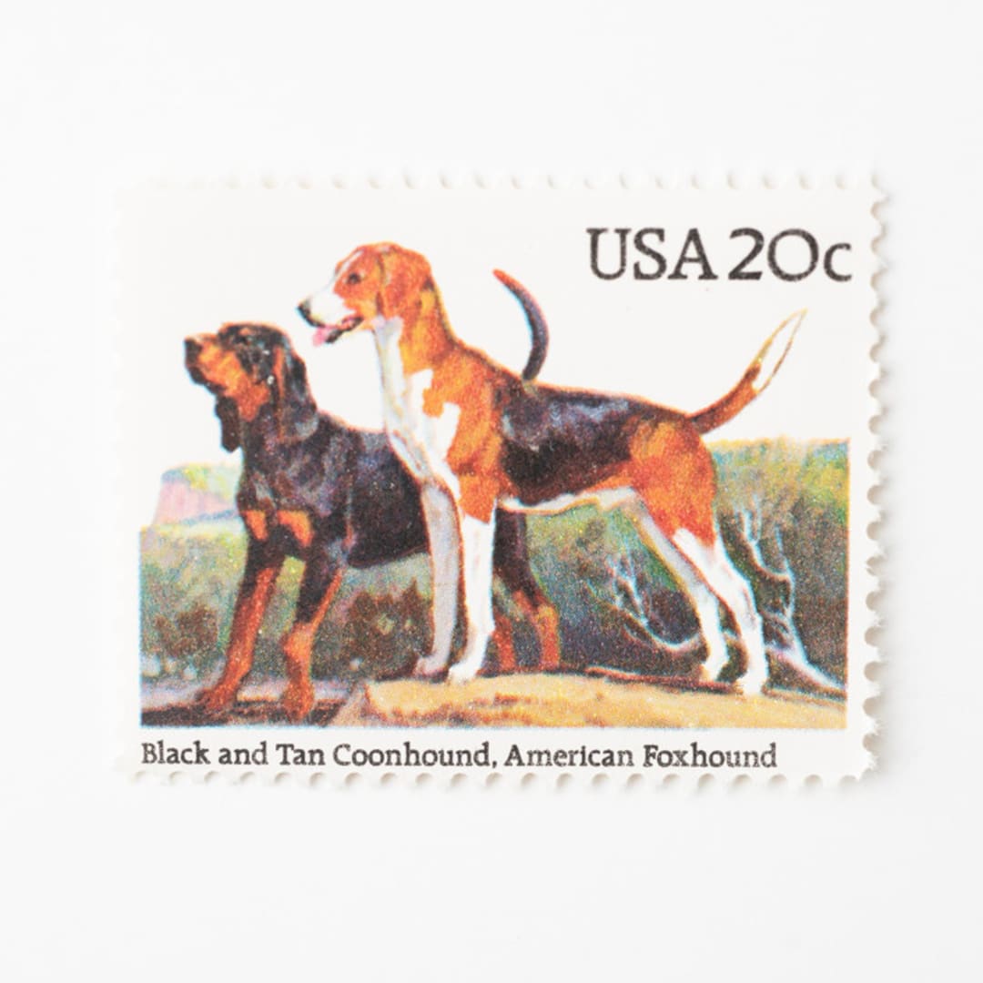 "20 Cent Coonhound & American Foxhound Dog Postage Stamps // Set of 10 // UNUSED" - Postage Stamps in beige by Flourish Fine Writing