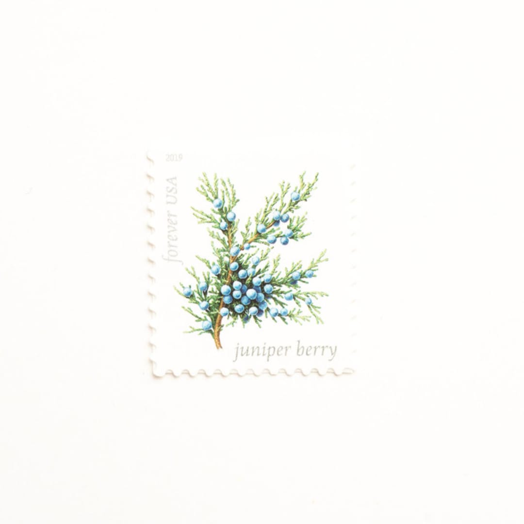 "Winter Juniper Berry Forever Stamps // Set of 5 // UNUSED Vintage Stamps" - Postage Stamps in blue by Flourish Fine Writing