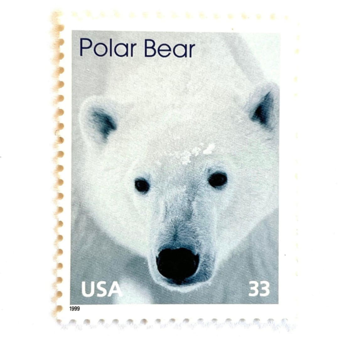 ""Polar Bear" Postage Stamps | Arctic Animals Series | Unused USPS Postage 33c | Pack of 20" - Postage Stamps in white by Jennifer Kramer