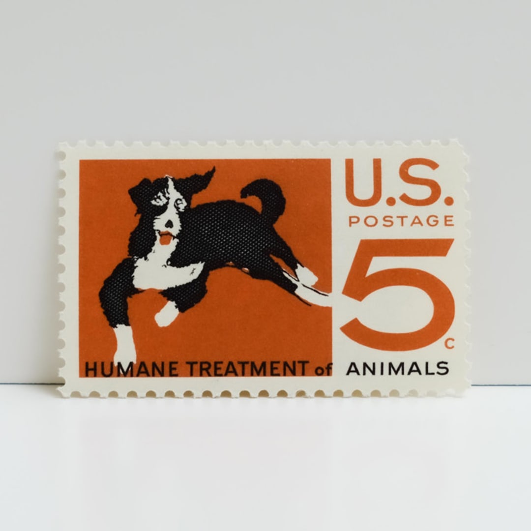 "Vintage Unused Stamps - Dog,  Humane Treatment of Animals, 5 cent - Set of 5" - Postage Stamps in multicolor by Tablo Post