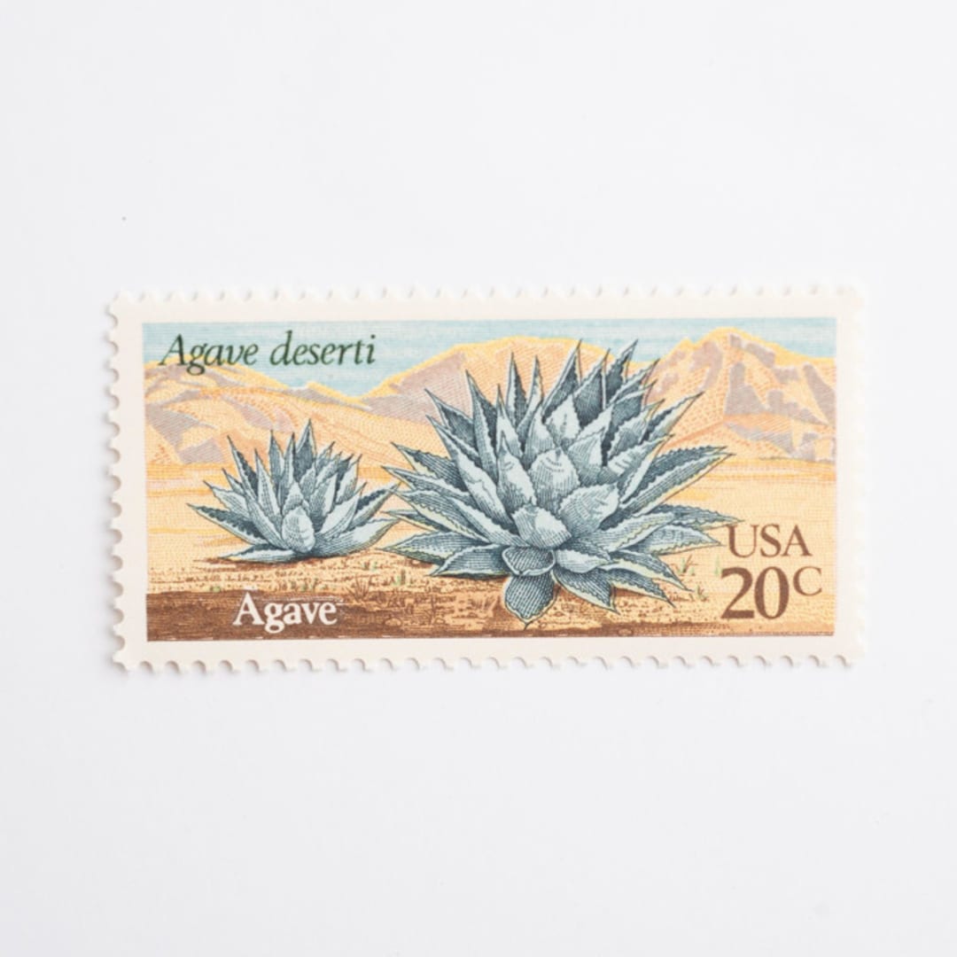 "20 Cent Agave Cactus Postage Stamps // Set of 10 // UNUSED postage stamps" - Postage Stamps in blue by Flourish Fine Writing