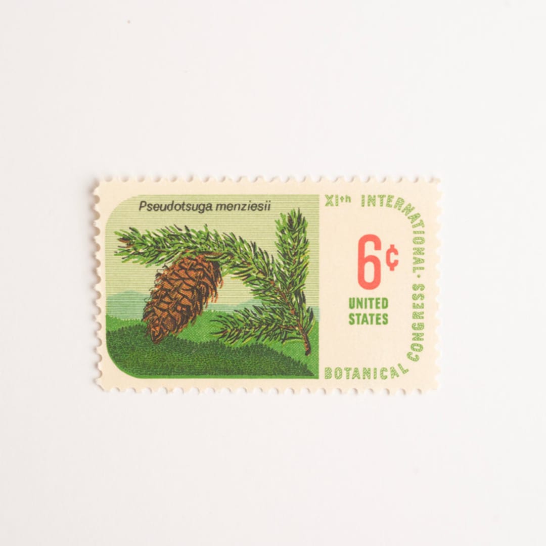 "6 Cent Botanical Congress, Douglas Fir Postage Stamps // Set of 10 // UNUSED Vintage Stamps" - Postage Stamps in green by Flourish Fine Writing
