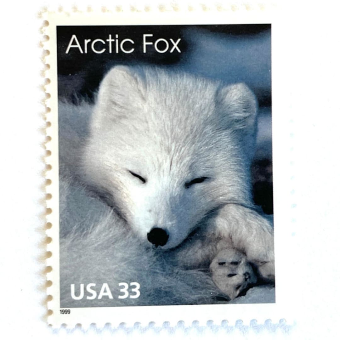 ""Arctic Fox" Postage Stamps | Arctic Animals Series | Unused USPS Postage 33c | Pack of 10" - Postage Stamps in white by Jennifer Kramer