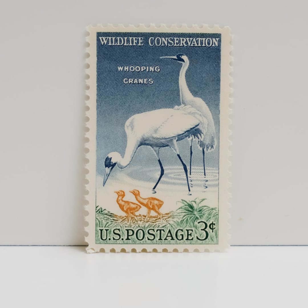 "Vintage Unused Stamps - Waterfowl Conservation, 6 cent - Set of 5" - Postage Stamps in multicolor by Tablo Post