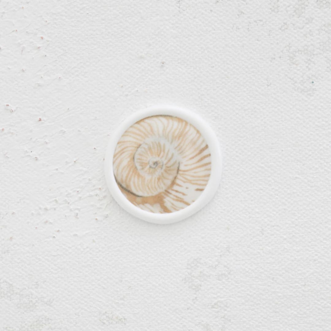 Seashell Wax Seals | Set of 25