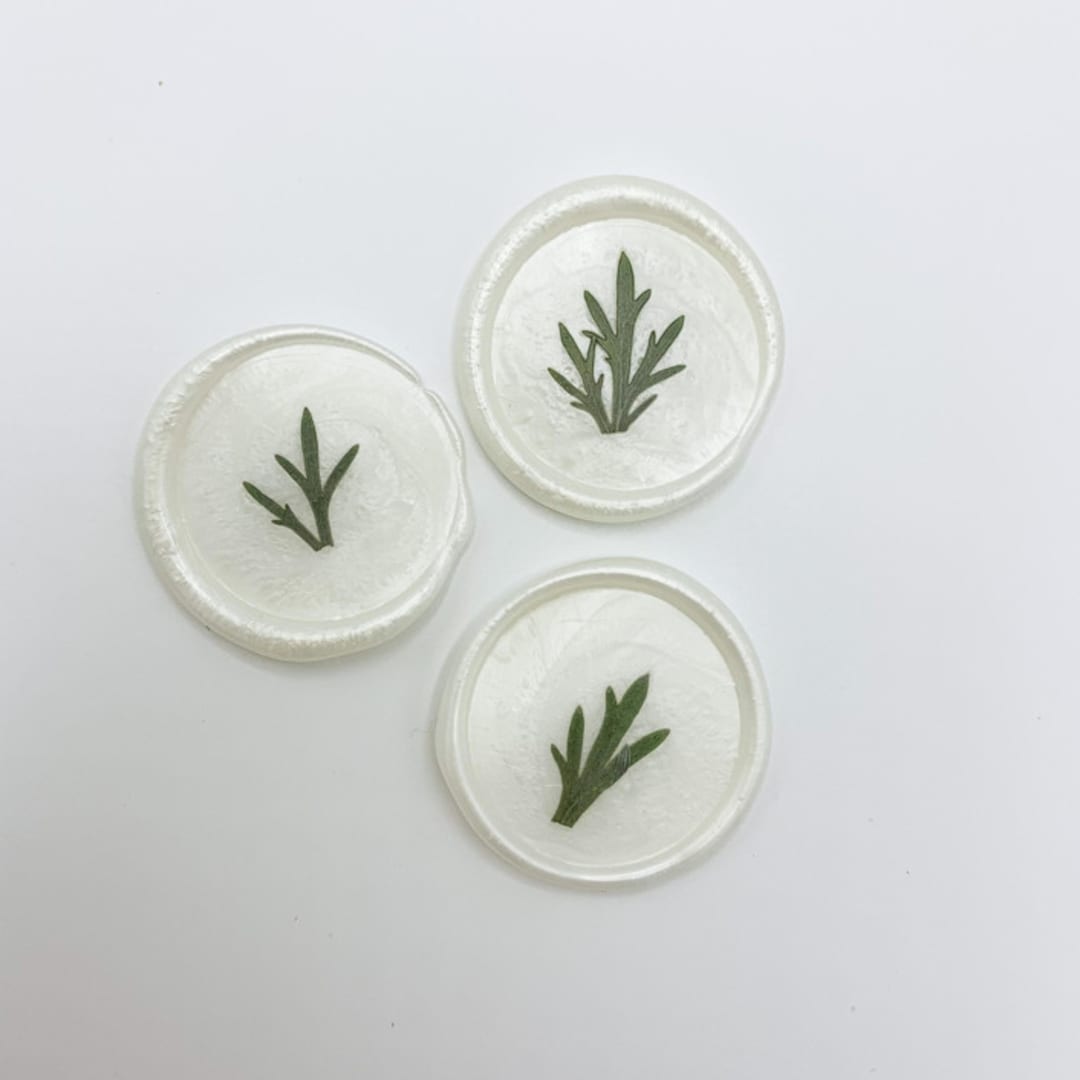 "Pressed Flower Ivory Wax Seal Green Ferns Set Of 6" - Wax Seals in white by Christine OMalley