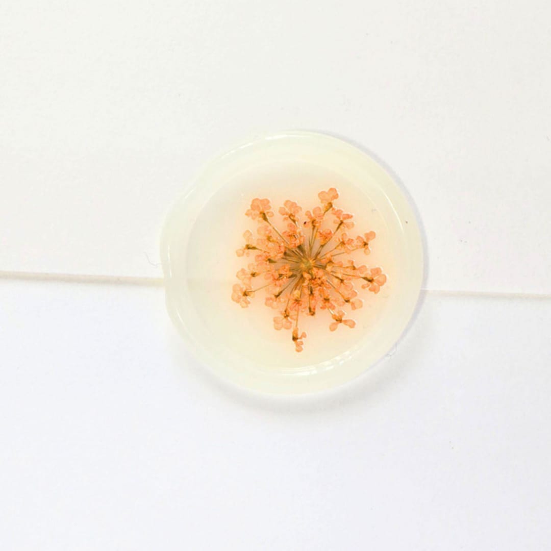 "Queen Anne's Lace- Orange Dried and Pressed Florals on Vellum- Customizable Shape- Set of 25 Wax Seals" - Wax Seals in multicolor by Inkspiringletters