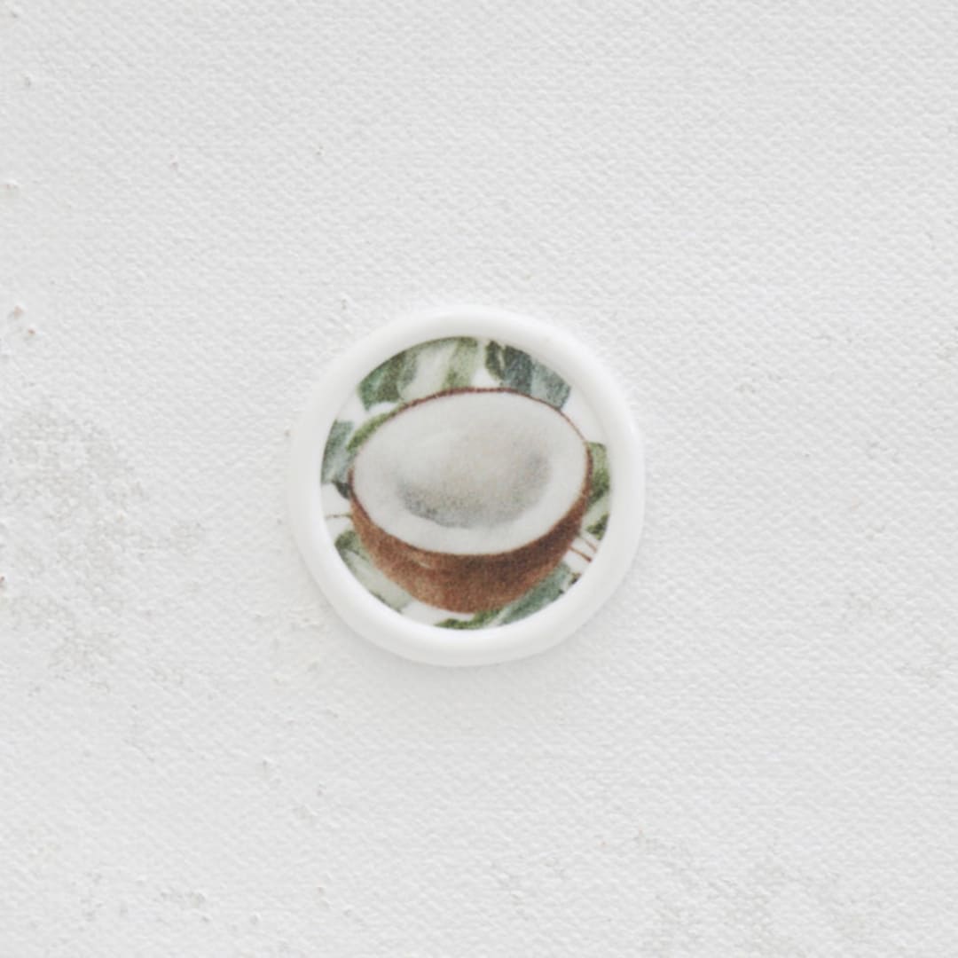 "Tropical Coconut Wax Seals | Set of 25" - Wax Seals in multicolor by Clove and Cedar Design
