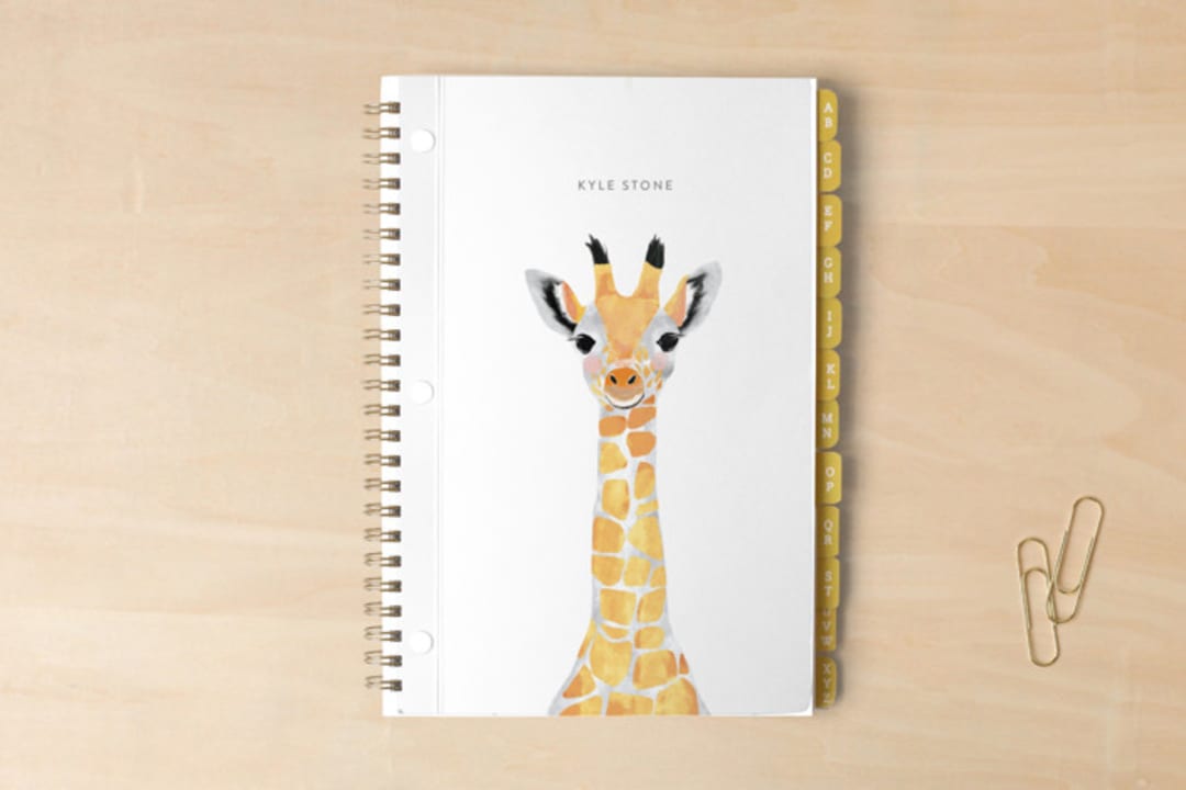 Baby Animal Giraffe