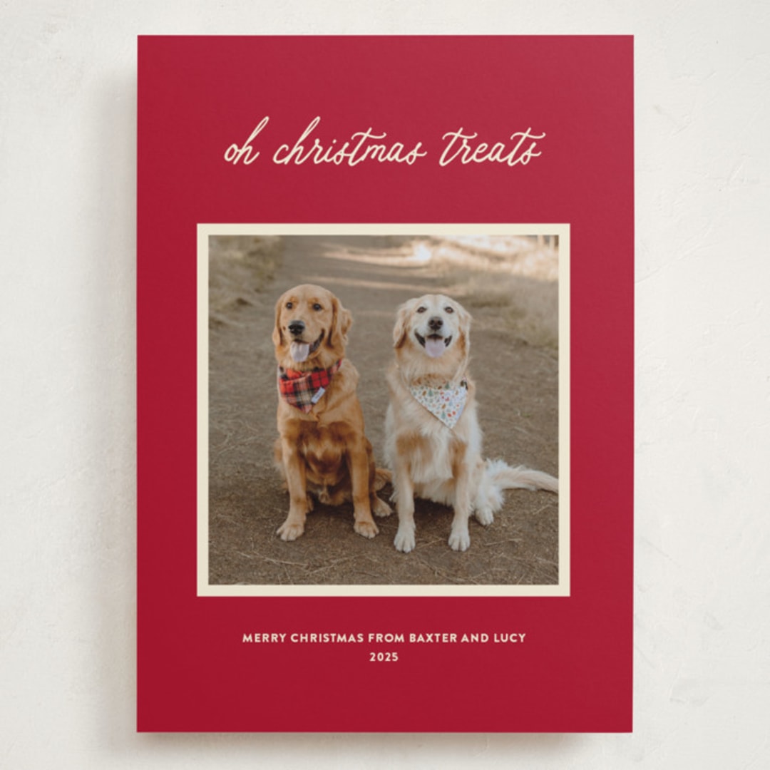 "Christmas Treats" - Holiday Cards in Red Chew Toy by Sarah Hawkins Designs - Front