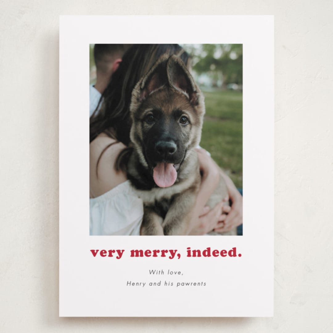 "Indeed" - Holiday Cards in Peppermint by Kristen Knechtel - Front