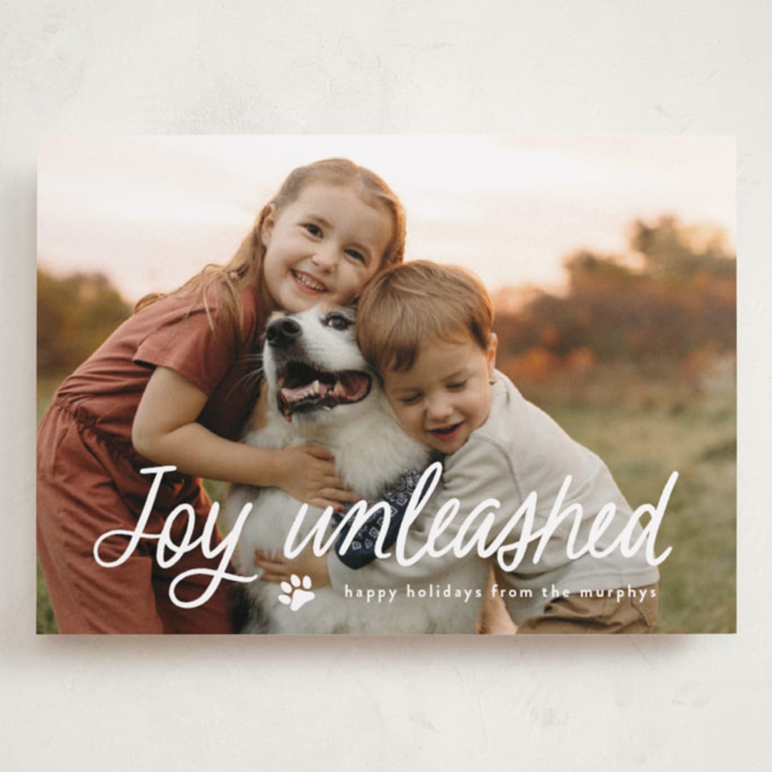 "Unleashed" - Holiday Cards in Snow by Annie Holmquist - Front