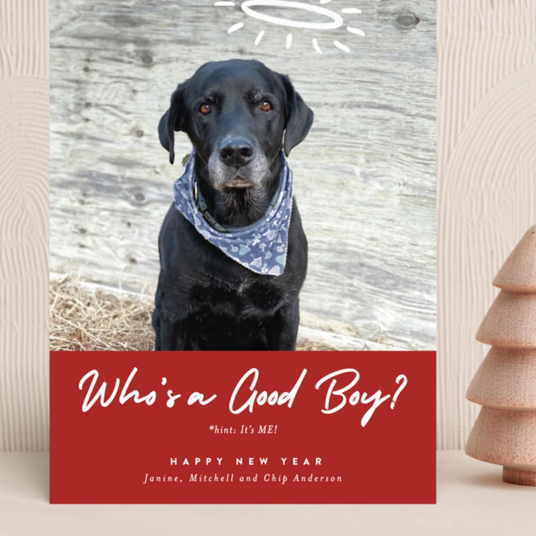"Good Boy" - Holiday Cards in Crimson by J. Dario Design Co. - Front