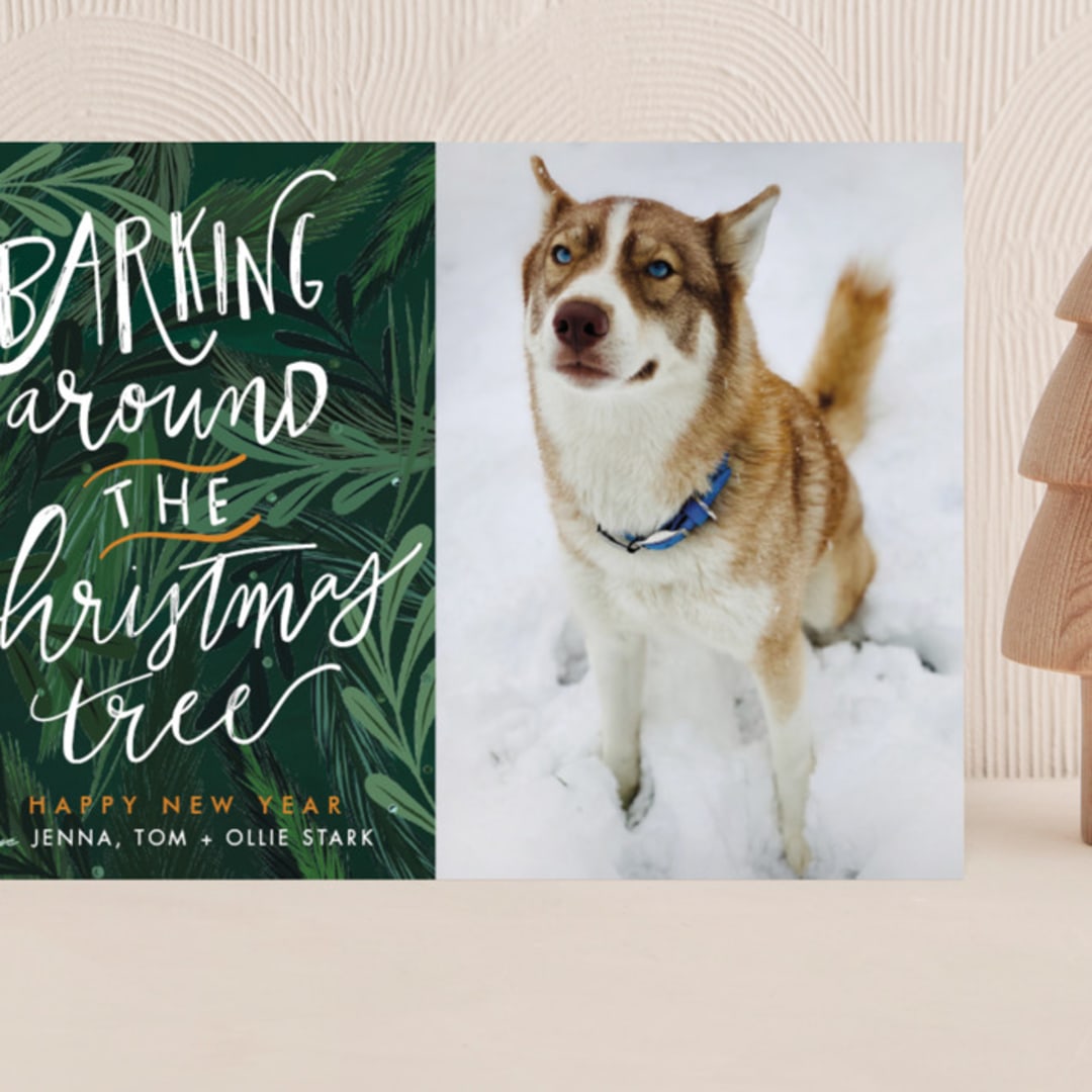 "Barking Fun" - Holiday Cards in Evergreen by Stephanie Given - Front
