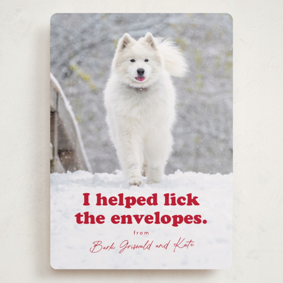 "Helping" - Holiday Cards in Chewed Stocking by Hudson meet Rose - Front