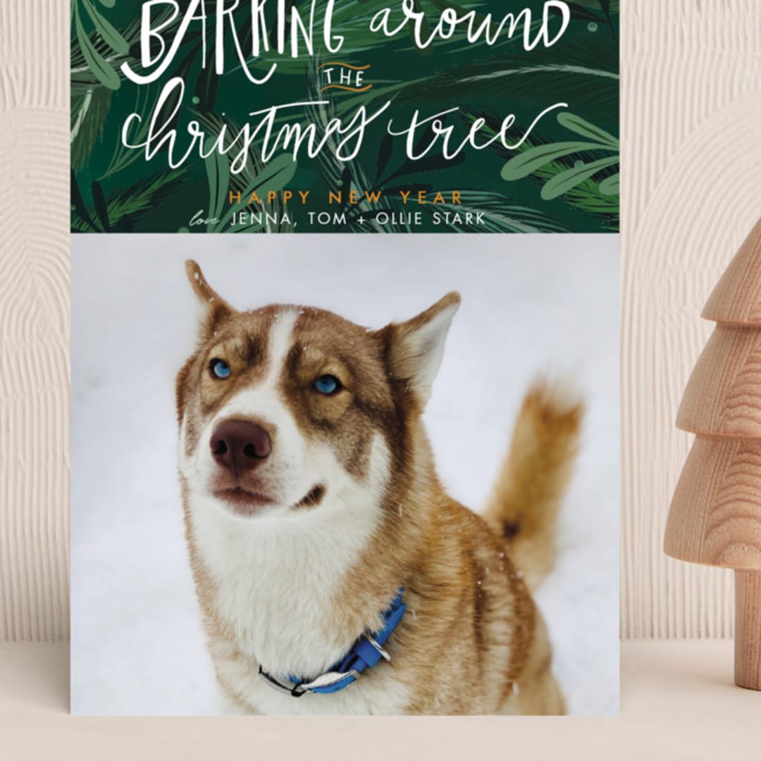"Barking Fun" - Holiday Cards in Evergreen by Stephanie Given - Front