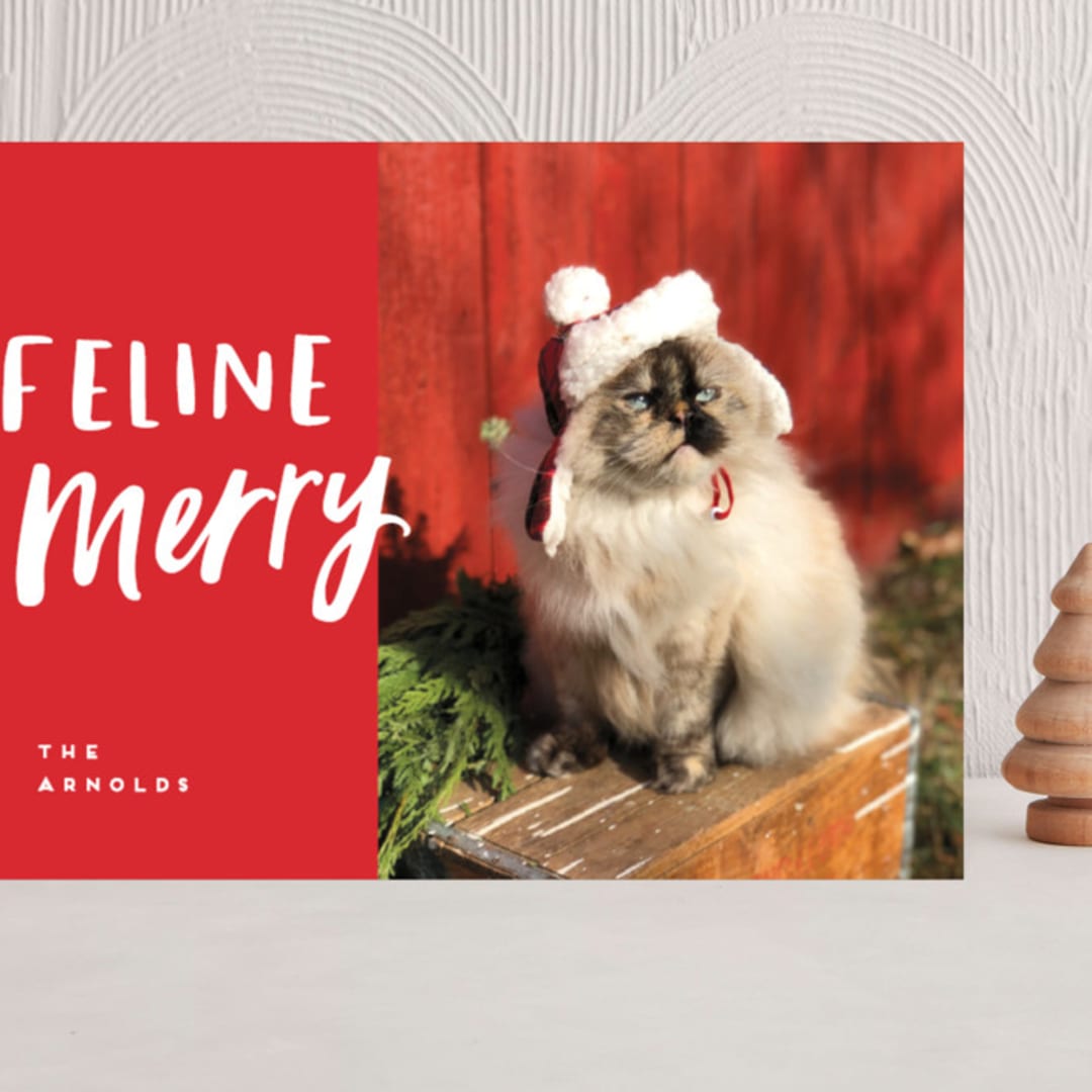 "Feline Merry" - Holiday Cards in Santa Suit by Chryssi Tsoupanarias - Front