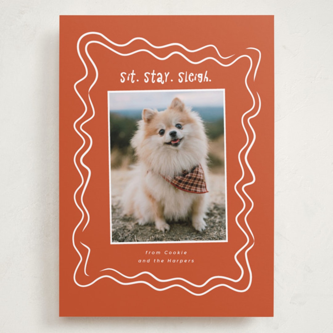 "wiggly lines" - Holiday Cards in Holly by Vera Lim - Front