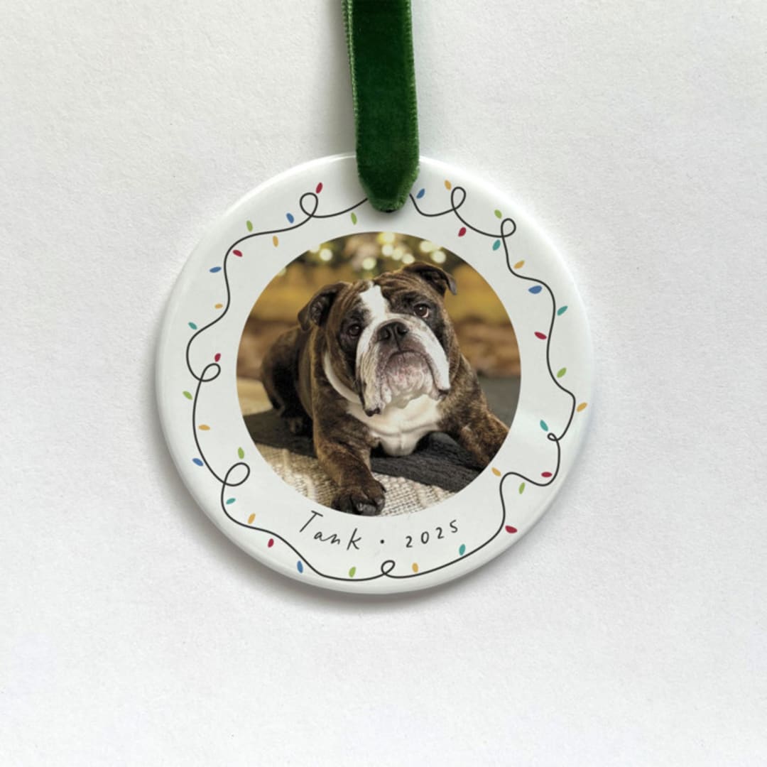 "Personalized Pet Photo Ornament - Holiday Lights" - Ornaments in multicolorassorted-colors by Holly Whitcomb
