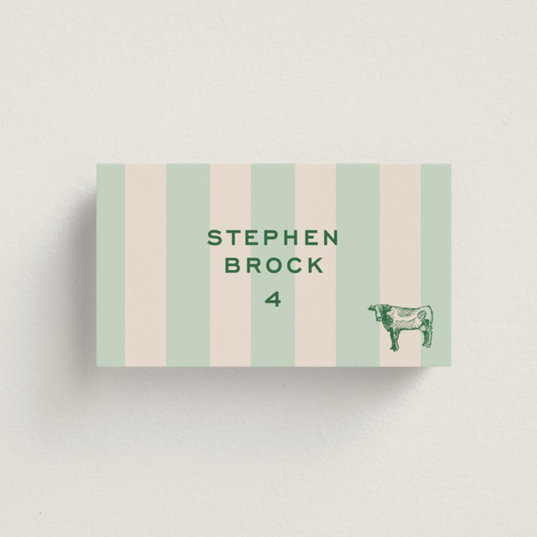 "Rhode" - Place Cards - Beef in Mint by Megan Davis - Front with Free Guest Printing