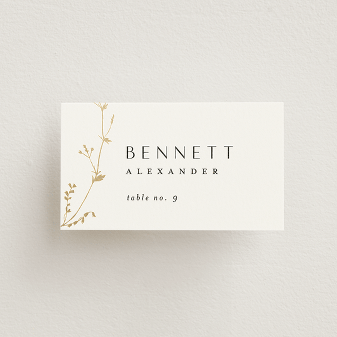 "Vine Wrap" - Place Cards in Cotton by Amy Kross - Front with Free Guest Printing