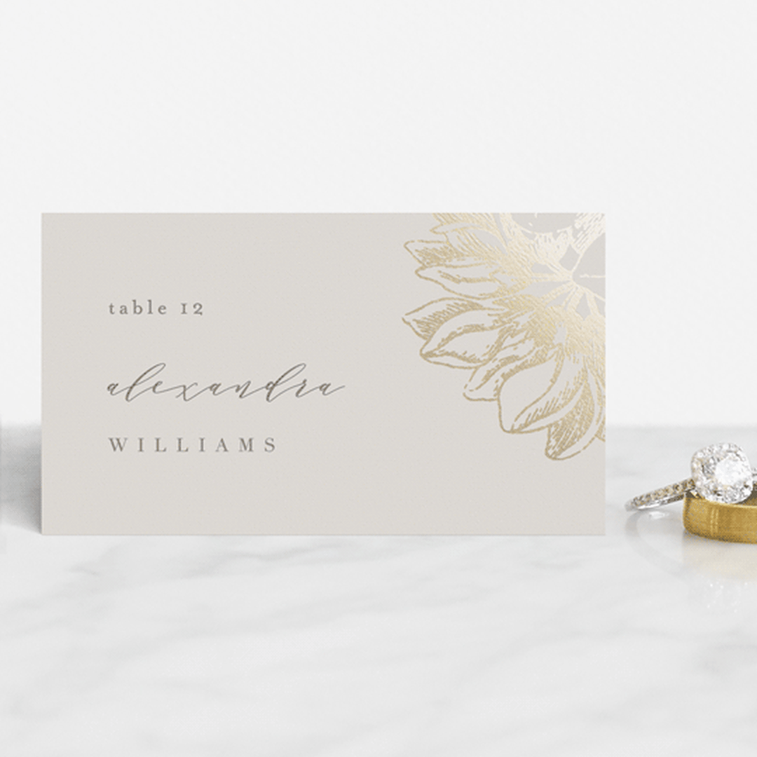 "Sophisticated" - Place Cards in Ivory by Kelly Schmidt - Front with Free Guest Printing