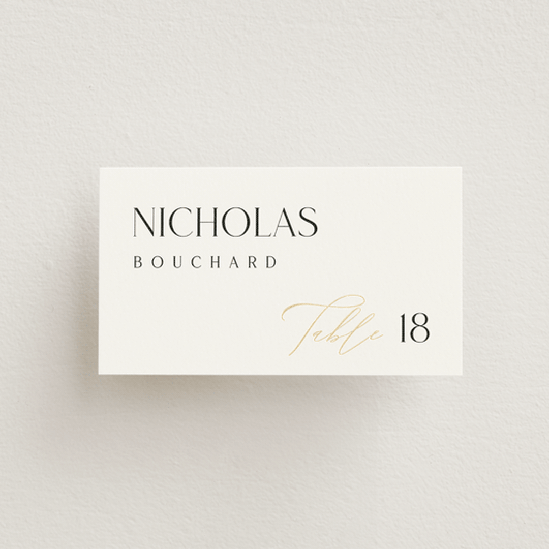 "Overlay" - Place Cards in Silk by Kelly Schmidt - Front with Free Guest Printing