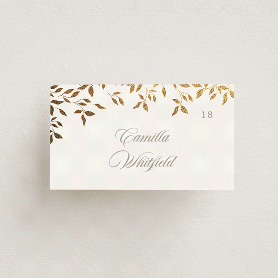 "Aperol" - Place Cards in Chiffon by Kristie Kern - Front with Free Guest Printing