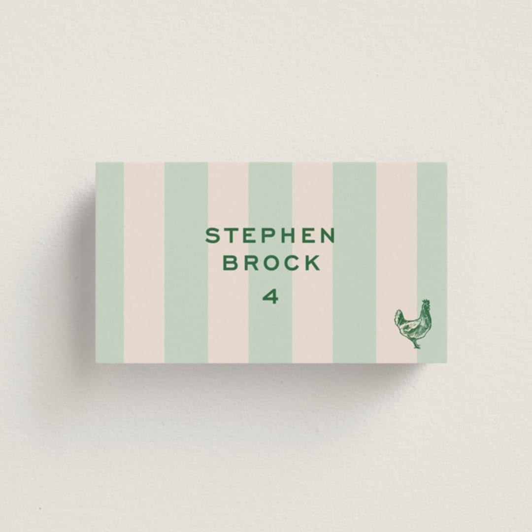 "Rhode" - Place Cards - Chicken in Mint by Megan Davis - Front with Free Guest Printing