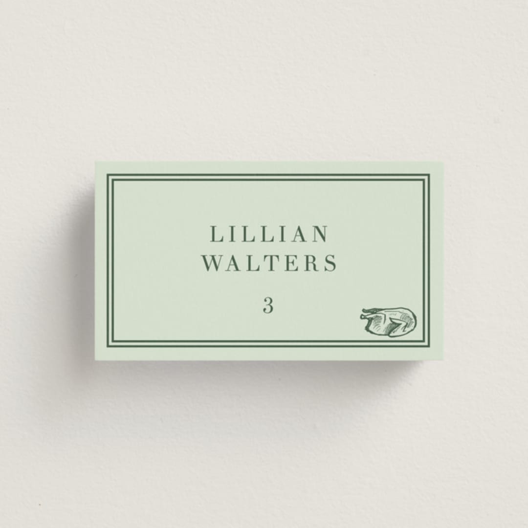 "Perry" - Place Cards - Chicken in Mint by Megan Davis - Front with Free Guest Printing
