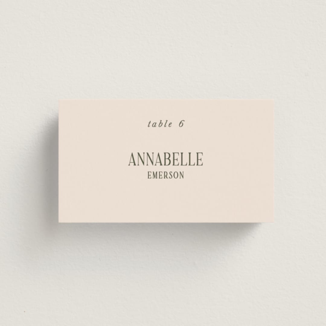 "Fero" - Place Cards in Blush by Pati Cascino - Front with Free Guest Printing