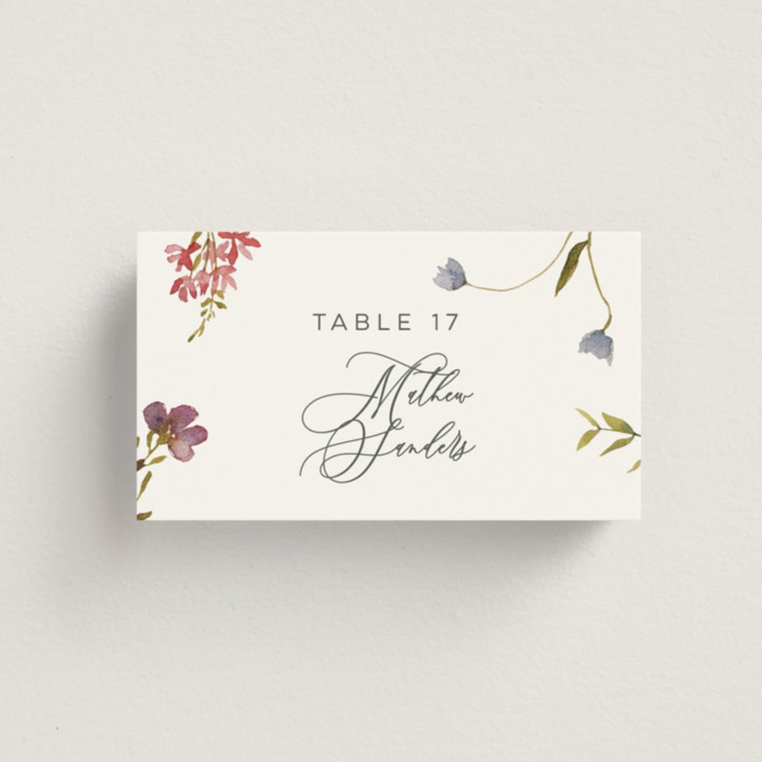 "Untied" - Place Cards in Sherbert by Erin Hodges - Front with Free Guest Printing