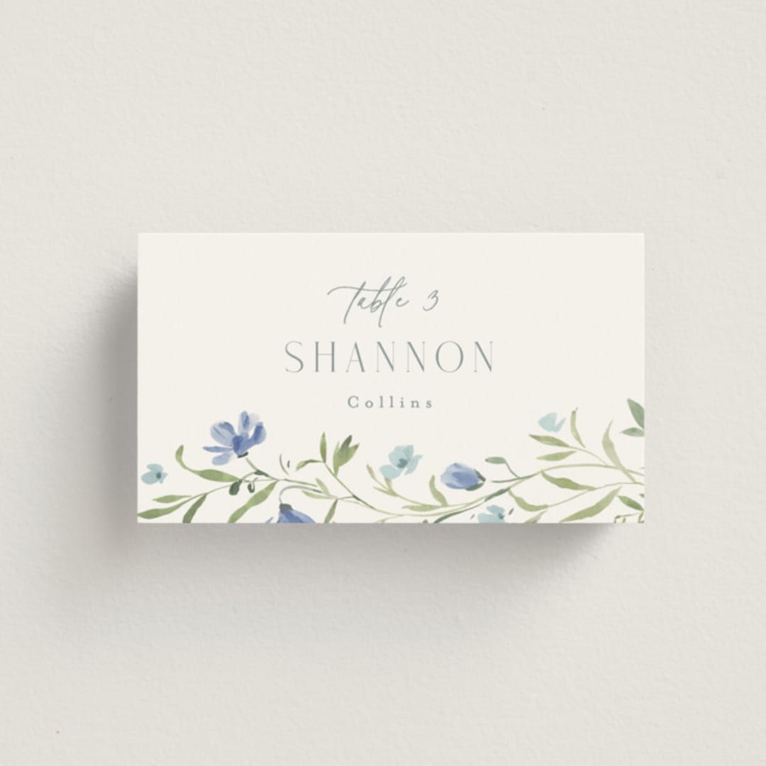 "Sweeping Meadow" - Place Cards in Aquamarine by Everett Paper Goods - Front