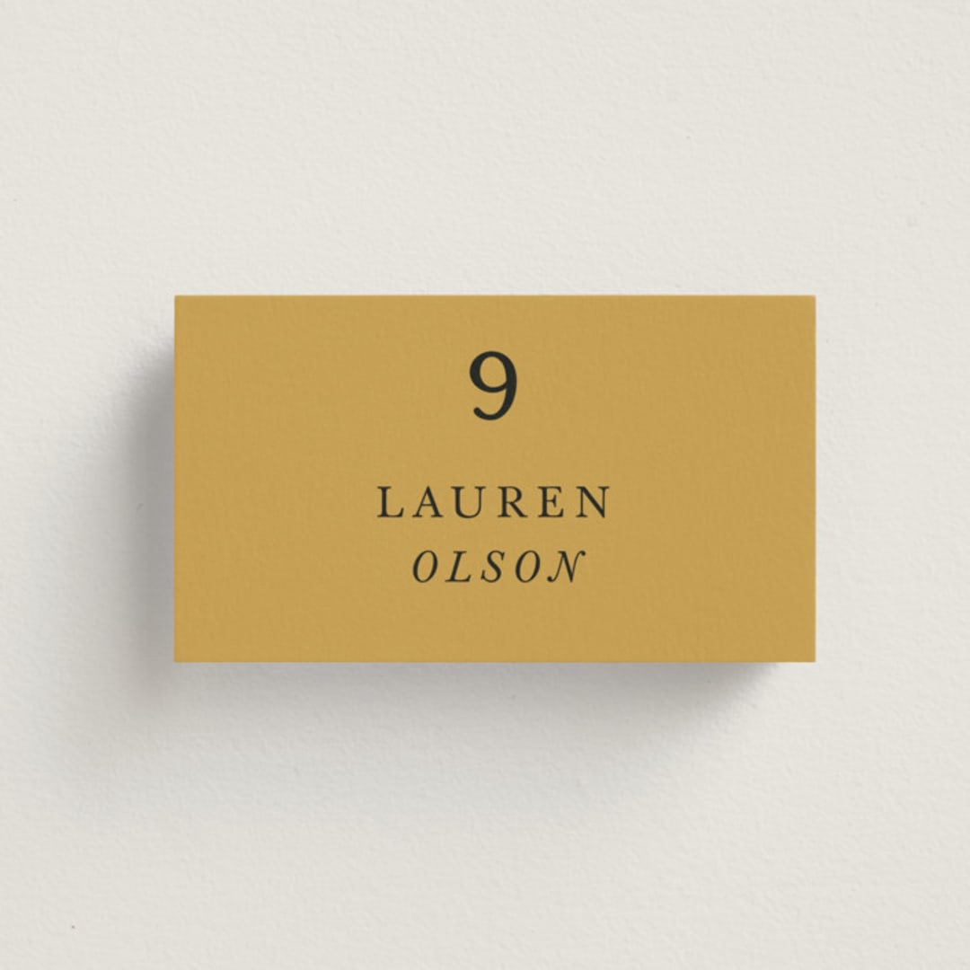 "Silhouette" - Place Cards in Sunrise by Lindsay Megahed - Front with Free Guest Printing