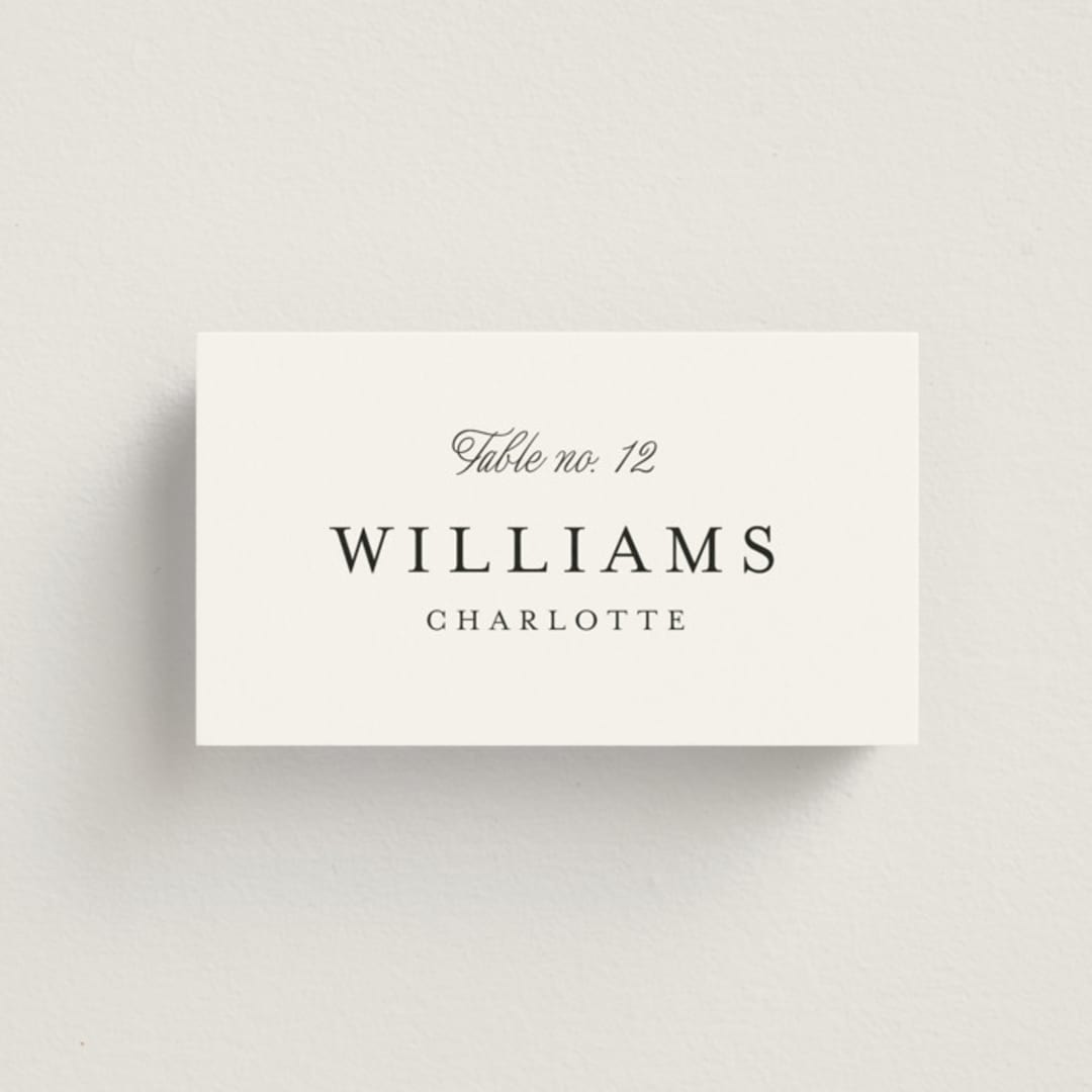 "Terra" - Place Cards in Snow by Pixel and Hank - Front with Free Guest Printing