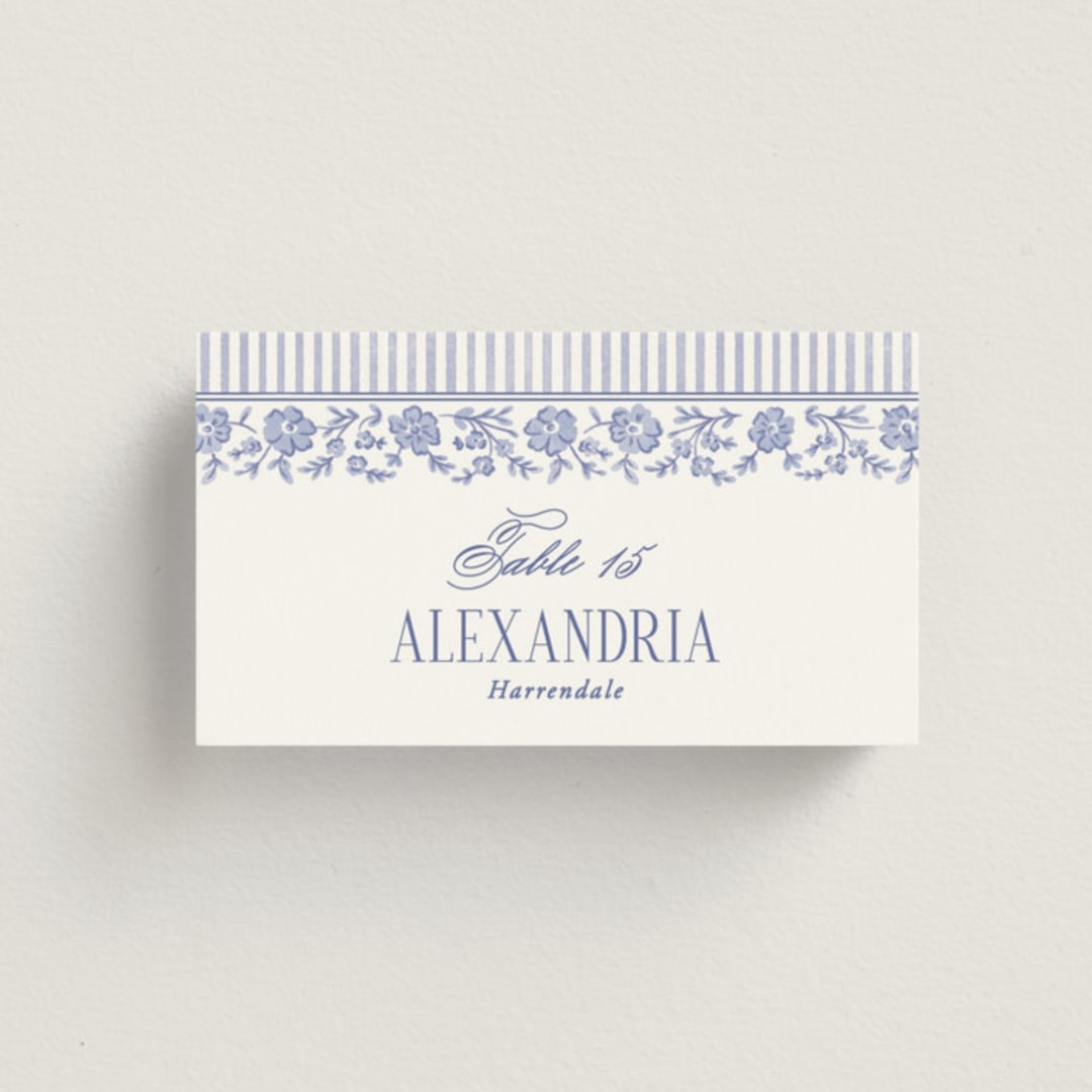 "Embroidered" - Place Cards in Cerulean by Jenna Holcomb - Front