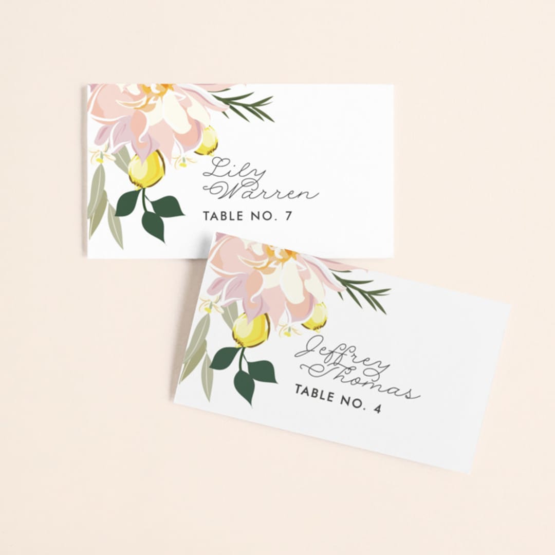 Spring Blooms