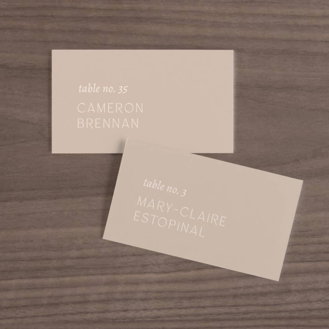 "Painted Sands" - Place Cards in Terracotta by Chelsea Petaja - Front with Free Guest Printing